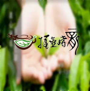【握壺嚐龍】阿里山烏龍茶，阿里山珠露，自產自銷台灣好茶